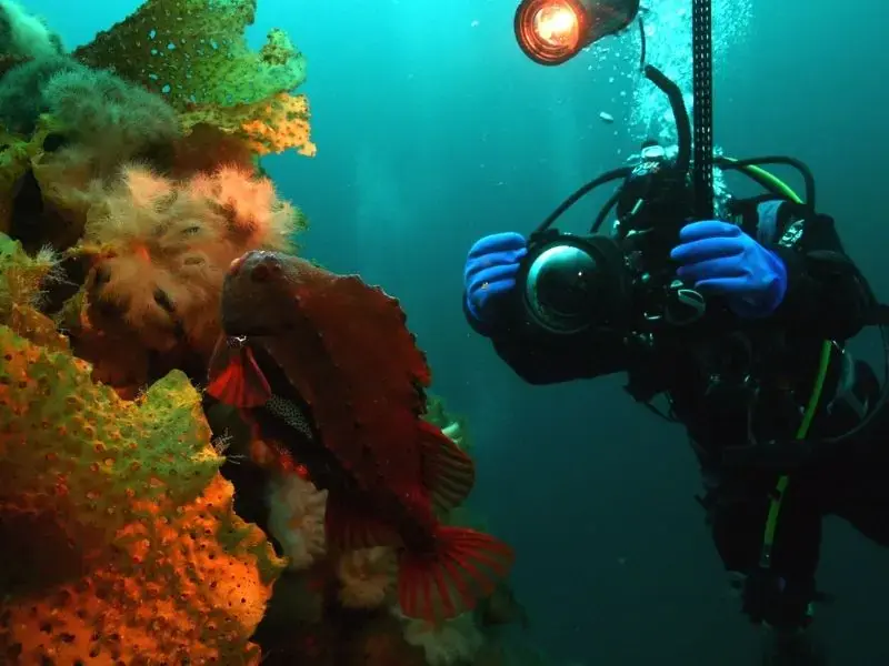 Ocean Quest Adventures